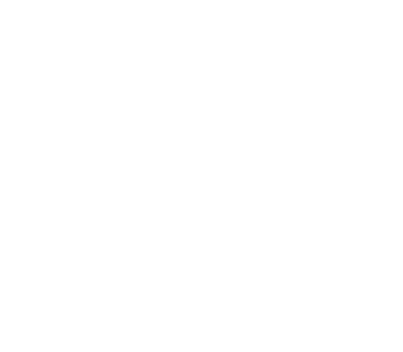 logo-n3